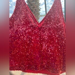 NWT J.Crew Collection Sequined Carrie V-Neck Camisole